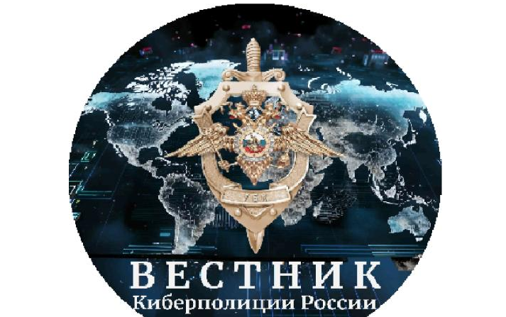 Создан &quot;Вестник Киберполиции России&quot;.